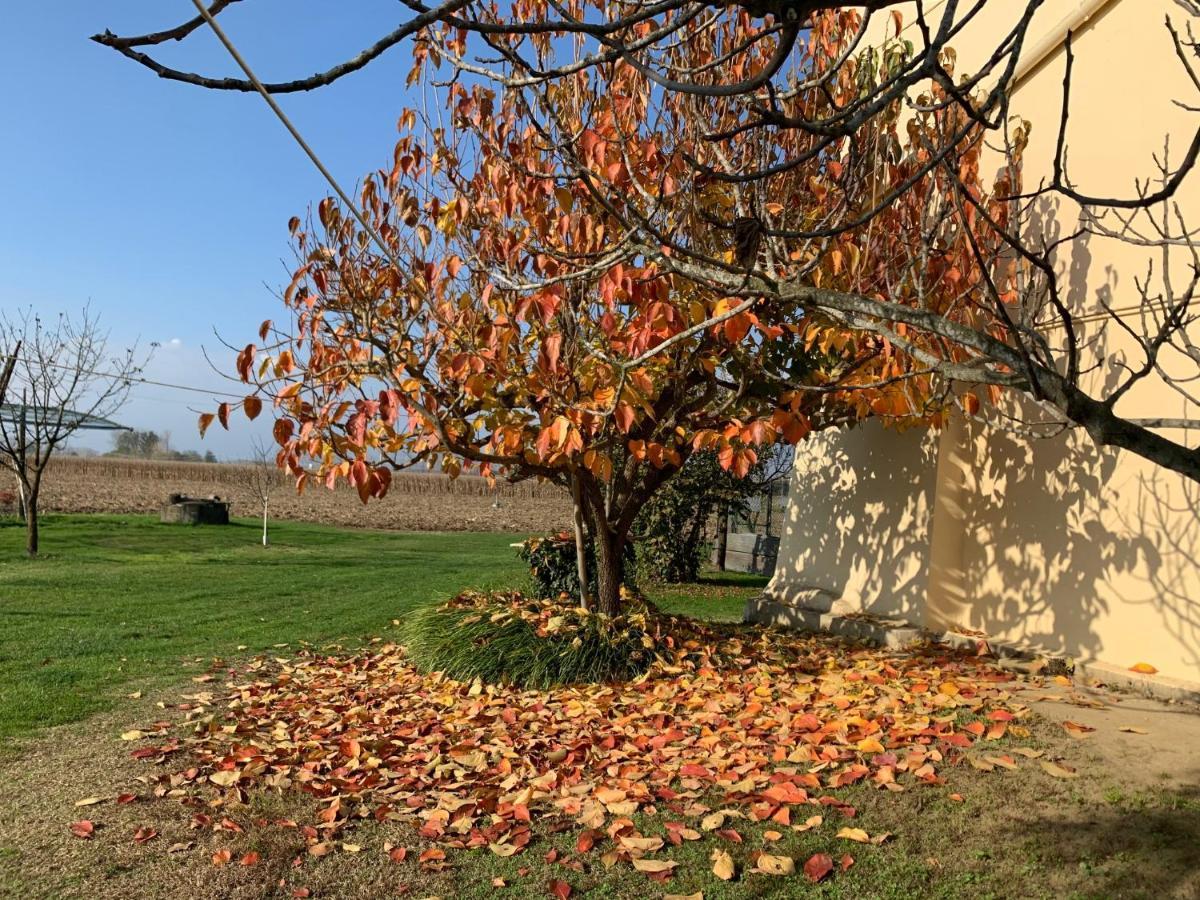 Agriturismo Cascina Mariale Альбьяно-д'Ивреа Экстерьер фото