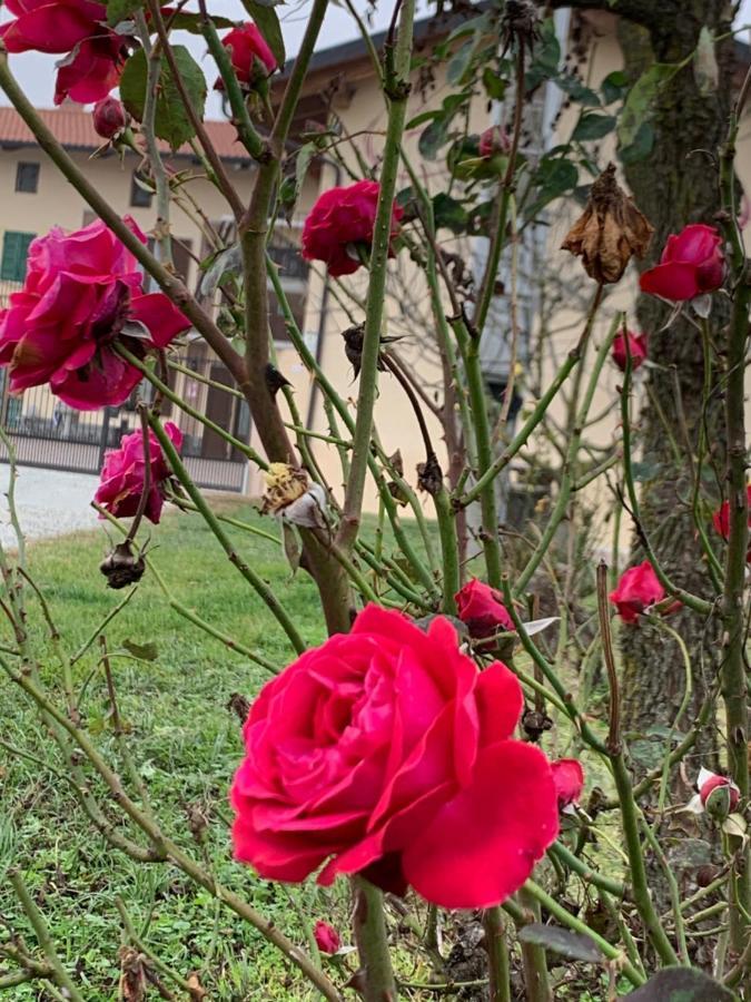 Agriturismo Cascina Mariale Альбьяно-д'Ивреа Экстерьер фото